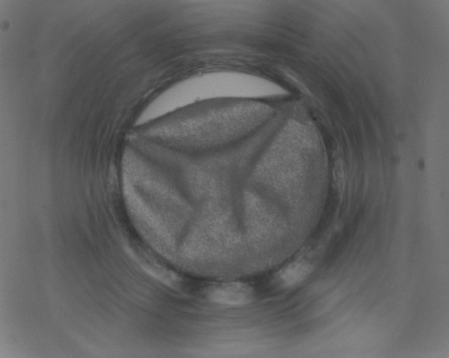 X0000078300459200612011839