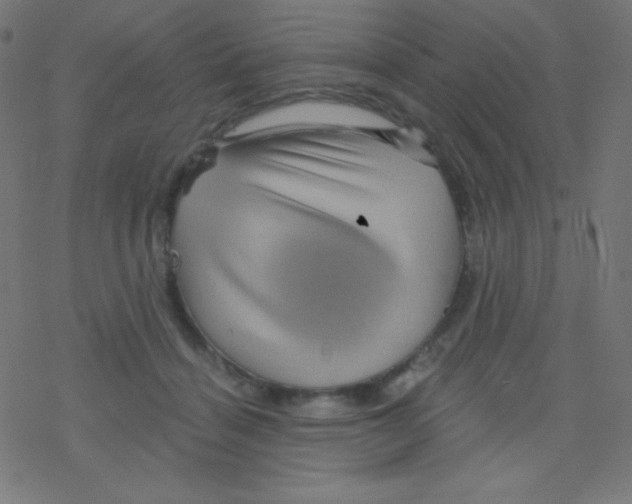 X0000078300460200612011839