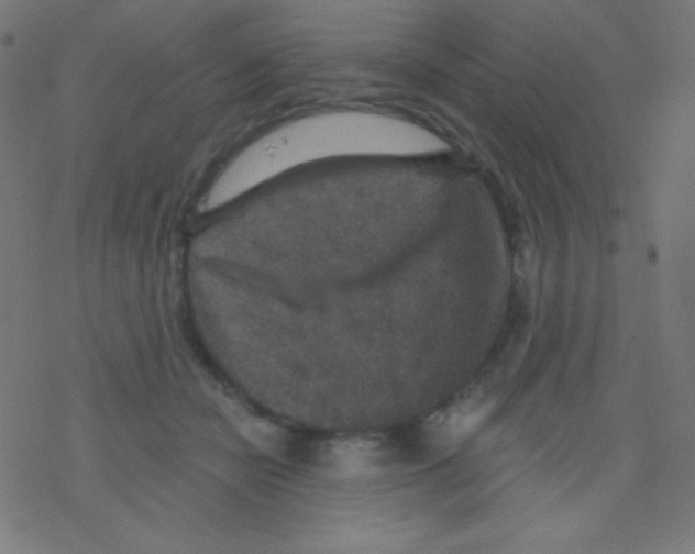 X0000078300462200612011839