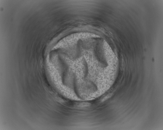 X0000078300463200612011839