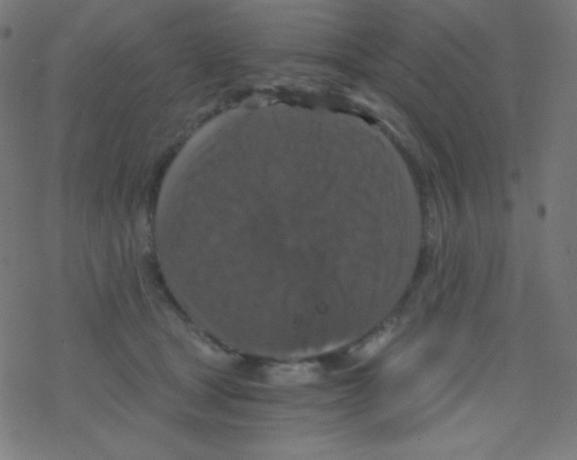 X0000078300465200612011839