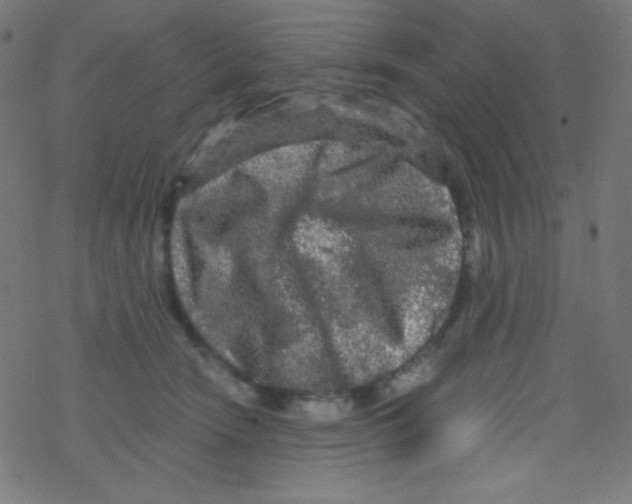 X0000078300466200612011839