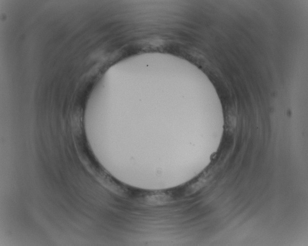 X0000078300468200612011839