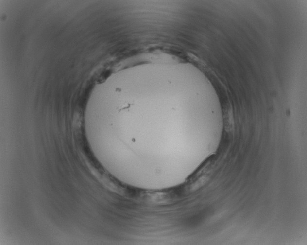 X0000078300472200612011839