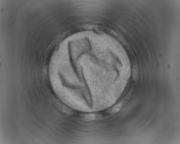 X0000078300473200612011839