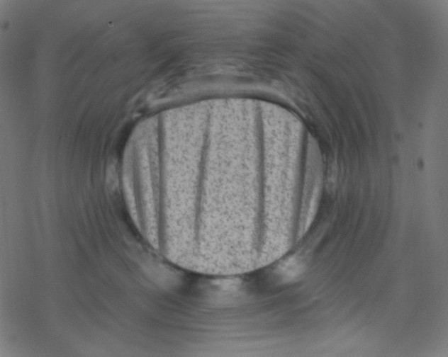 X0000078300478200612011839