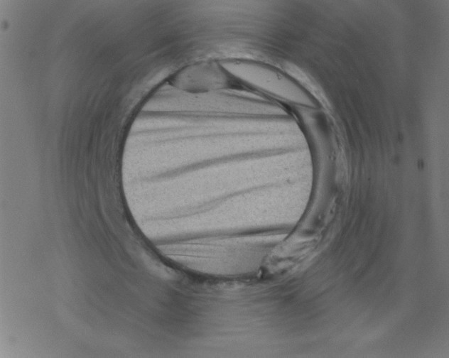 X0000078300481200612011838