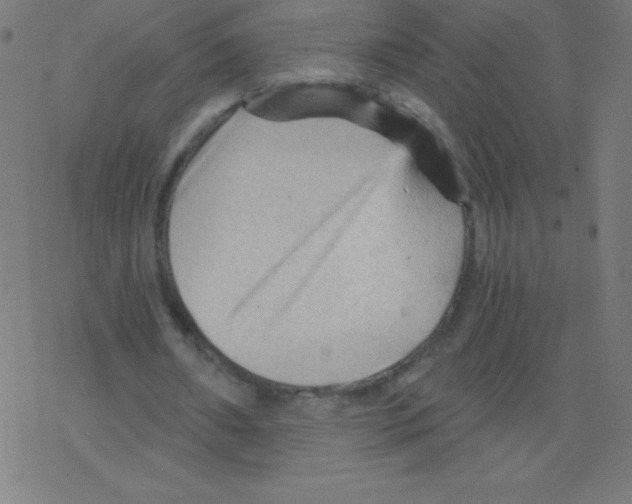 X0000078300482200612011838