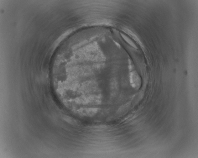 X0000078300483200612011838