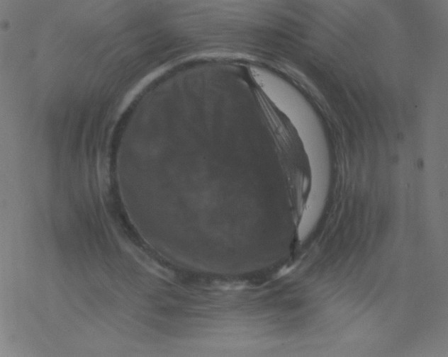 X0000078300484200612011838