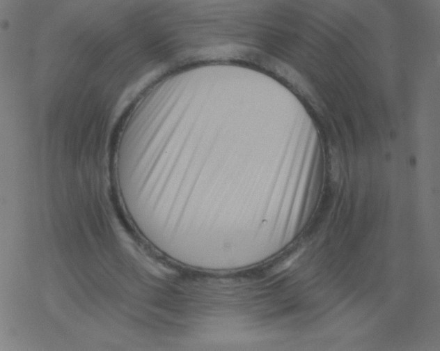 X0000078300486200612011838