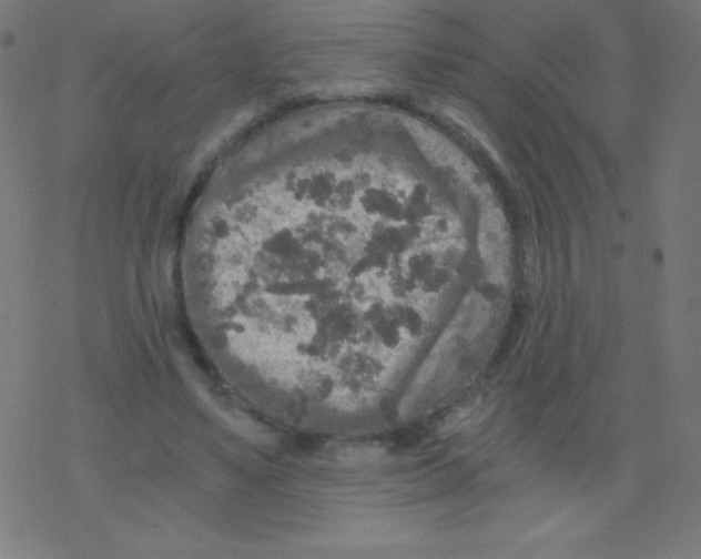 X0000078300491200612011838