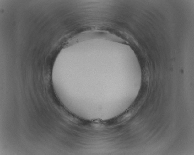 X0000078300509200612011838