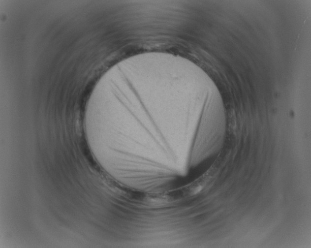 X0000078300510200612011838