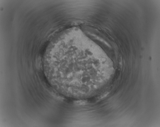 X0000078300511200612011838