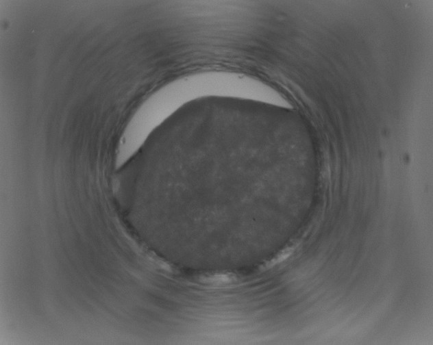 X0000078300513200612011838