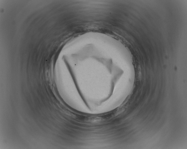 X0000078300514200612011838