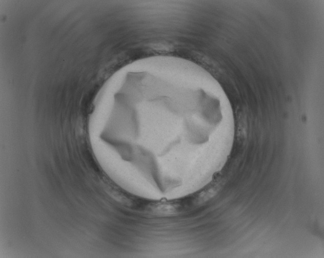 X0000078300518200612011838