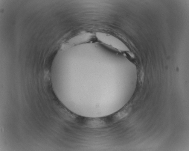 X0000078300521200612011838