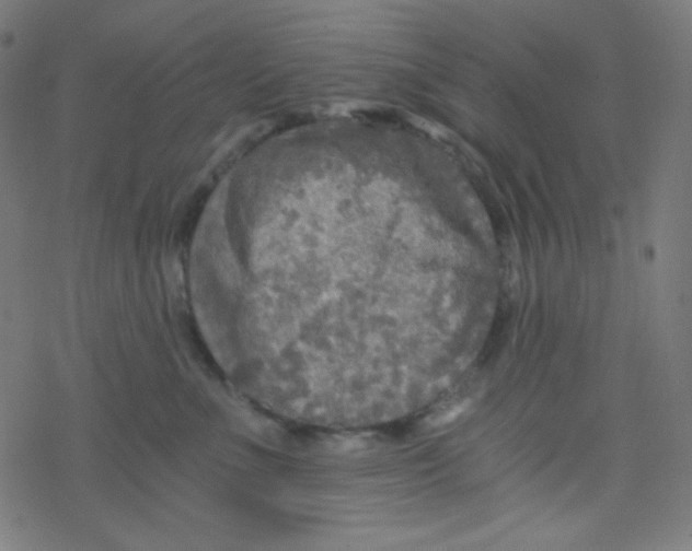 X0000078300523200612011838