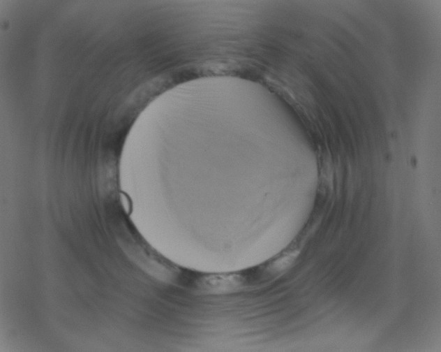 X0000078300526200612011838