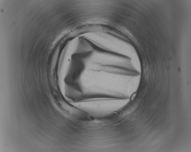 X0000078300530200612011837