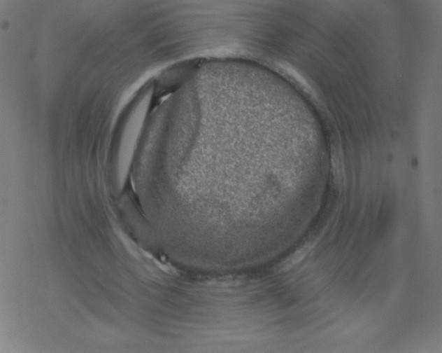 X0000078300532200612011837