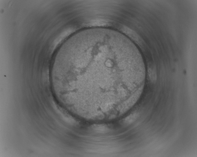 X0000078300534200612011837