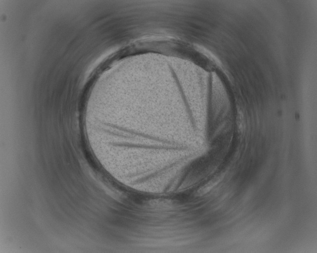 X0000078300535200612011837