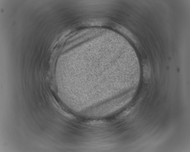 X0000078300537200612011837