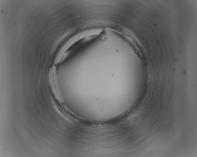 X0000078300538200612011837