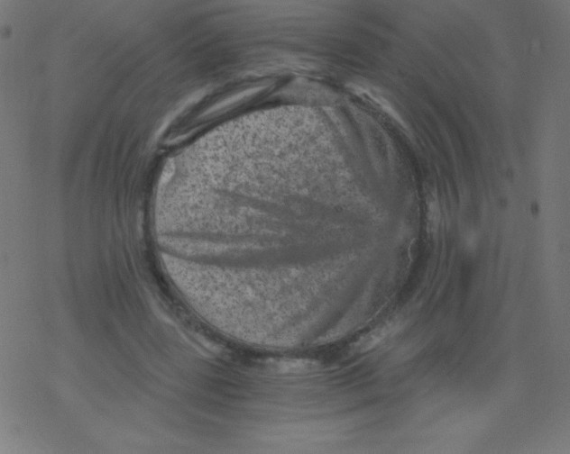 X0000078300539200612011837