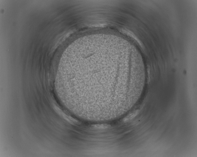 X0000078300541200612011837