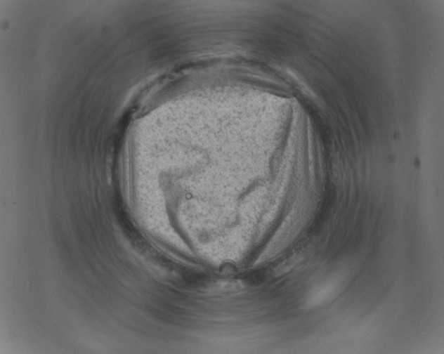 X0000078300543200612011837