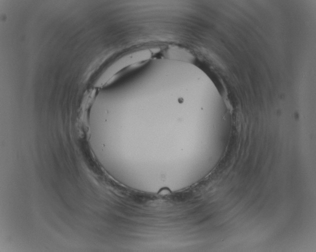 X0000078300544200612011837