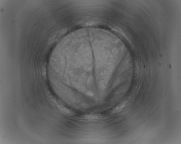 X0000078300545200612011837