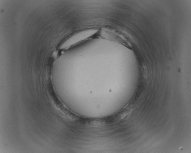 X0000078300546200612011837