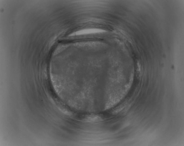 X0000078300547200612011837