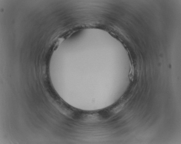 X0000078300548200612011837