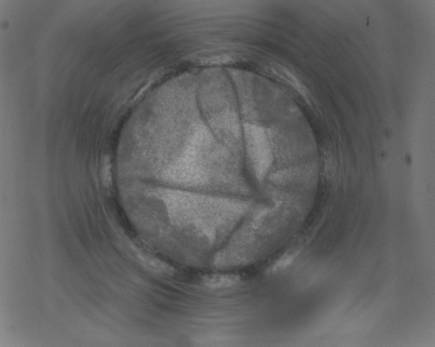 X0000078300549200612011837