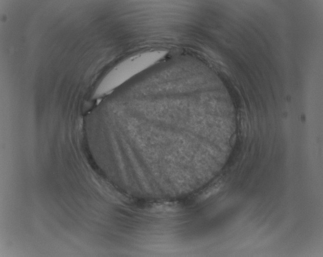 X0000078300550200612011837