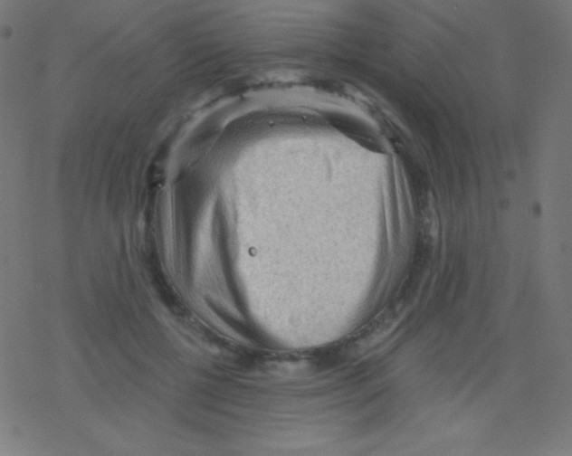 X0000078300552200612011837