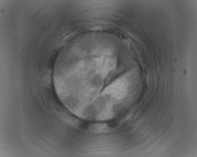 X0000078300554200612011837