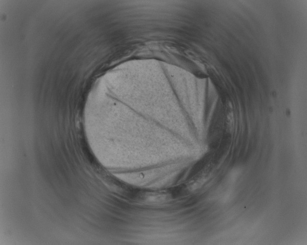 X0000078300555200612011837