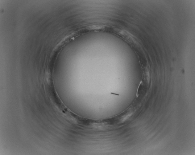 X0000078300556200612011837