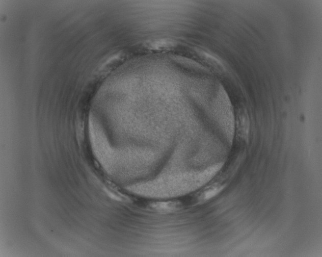 X0000078300558200612011837