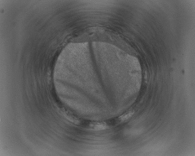 X0000078300559200612011837