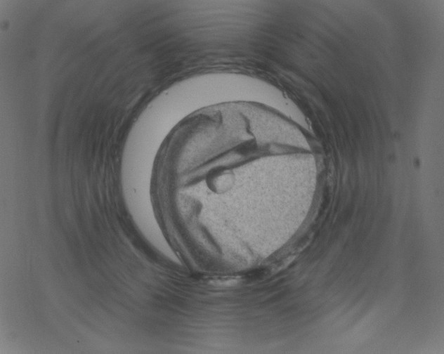 X0000078300560200612011837