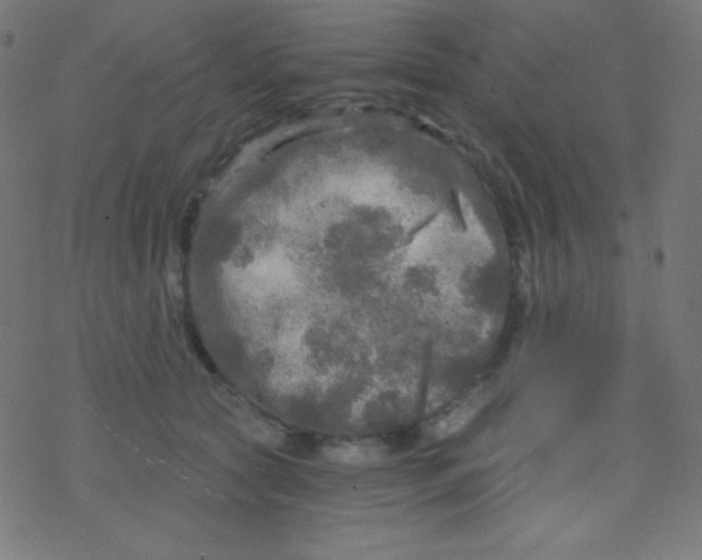 X0000078300561200612011837