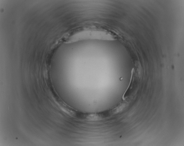 X0000078300562200612011837